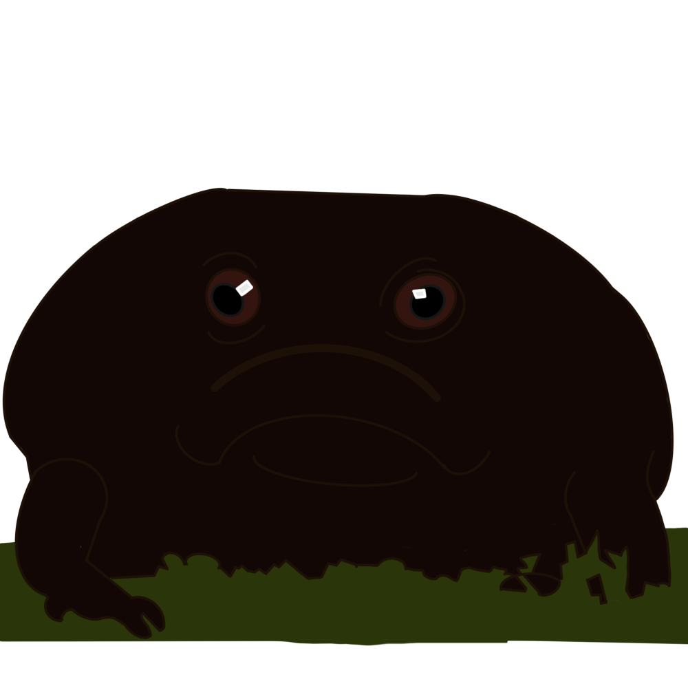 A simple drawing of a black rain frog standing in some grass. The black rain frog is a small, short, and very round frog species with a very small face and head.